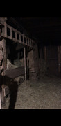 Screenshot-20260830-013409-Gallery