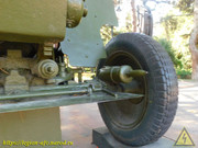 DSCN6809