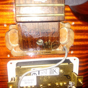 IMG_20150803_120147_zpsev2gyww0