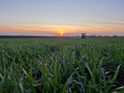 IMG-dfe9d6a484db17775830e4467b1cdad2-V.jpg