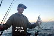 [Image: RANDY-WIPER.jpg]