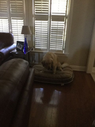 image_2023-02-02_225858782