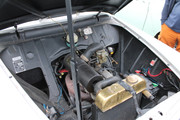 IMG_2962.jpg