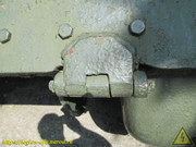 IMG-5618
