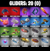 gliders-comp