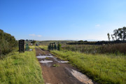 DSC-0050