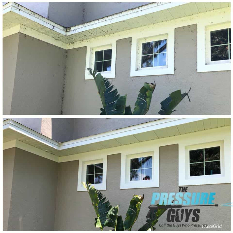 pressure washing orlando FL (9)