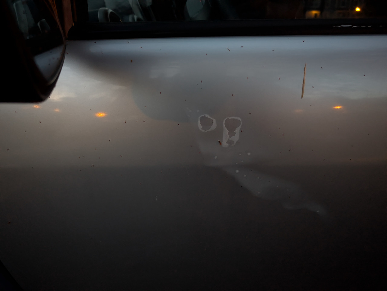 Sunburn Paint Damage Driver Door
