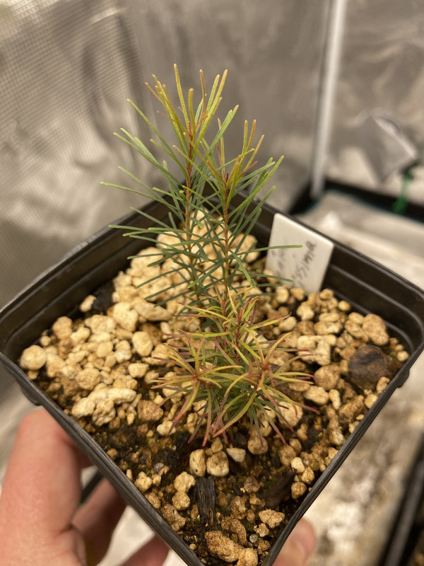 FE4A8CB3-11A3-4D5F-A292-4817876B4F98