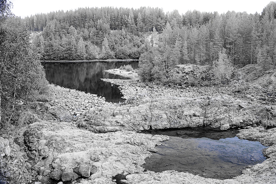 IMGP2862 (1)-Black and WHite