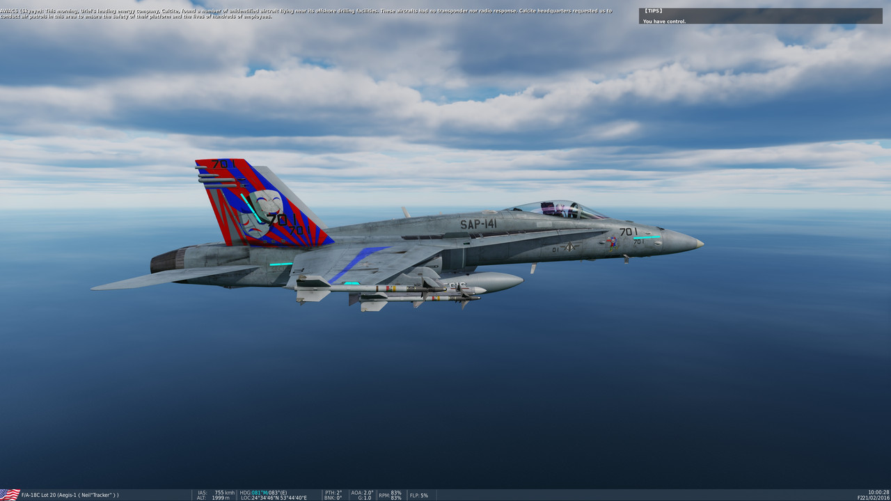 Plane skins have numbers all over the tails - Bugs and