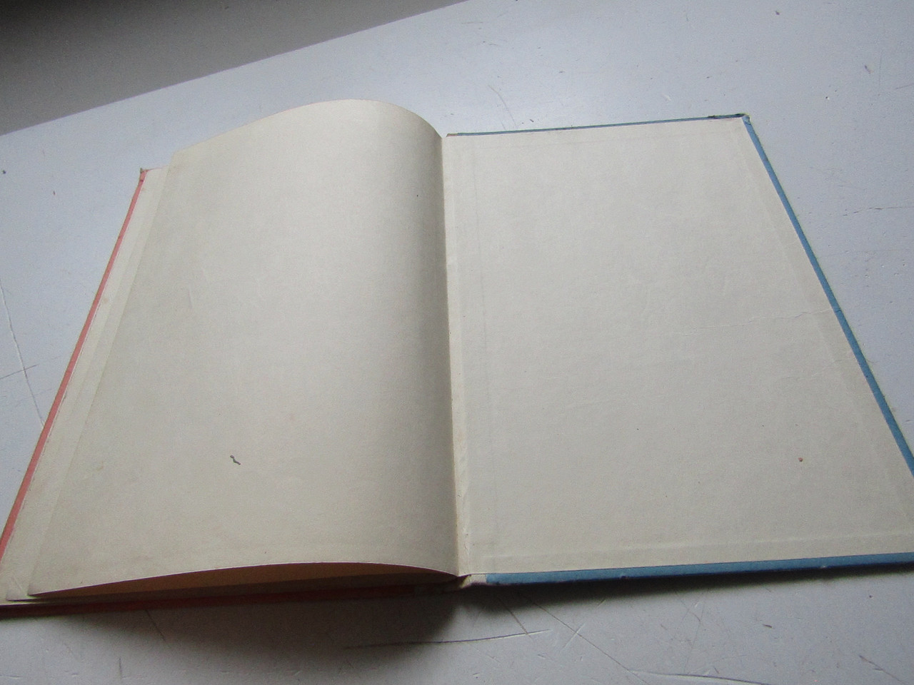 IMG 3361 — Postimages