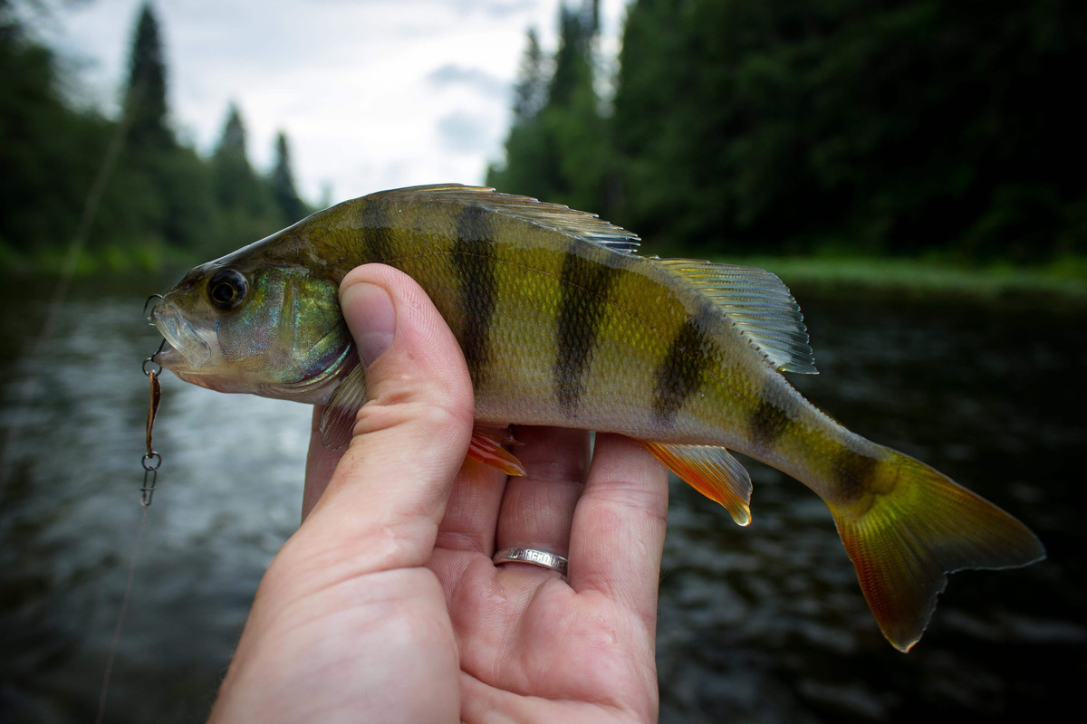 без имени-13