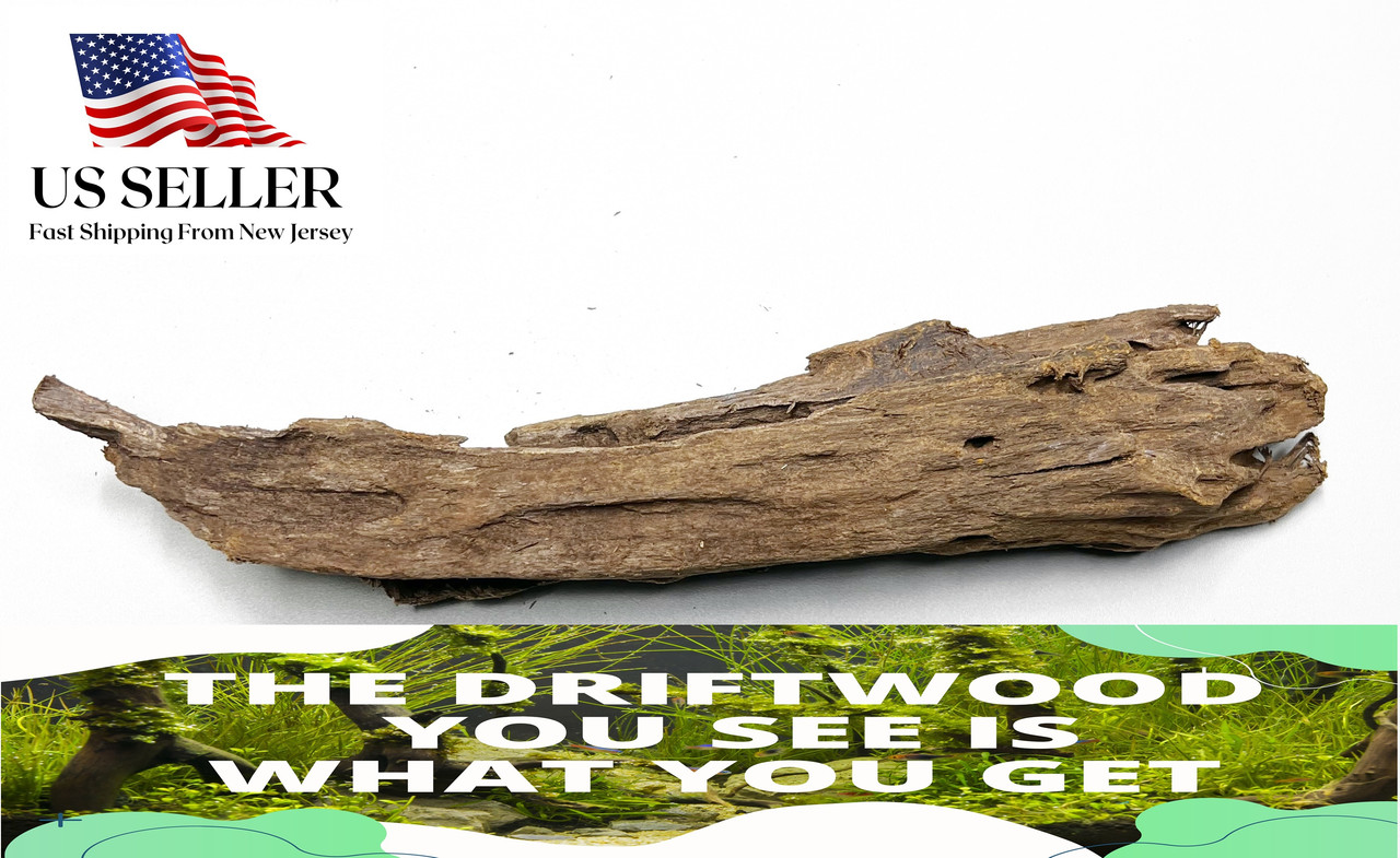 mangrovedriftwood