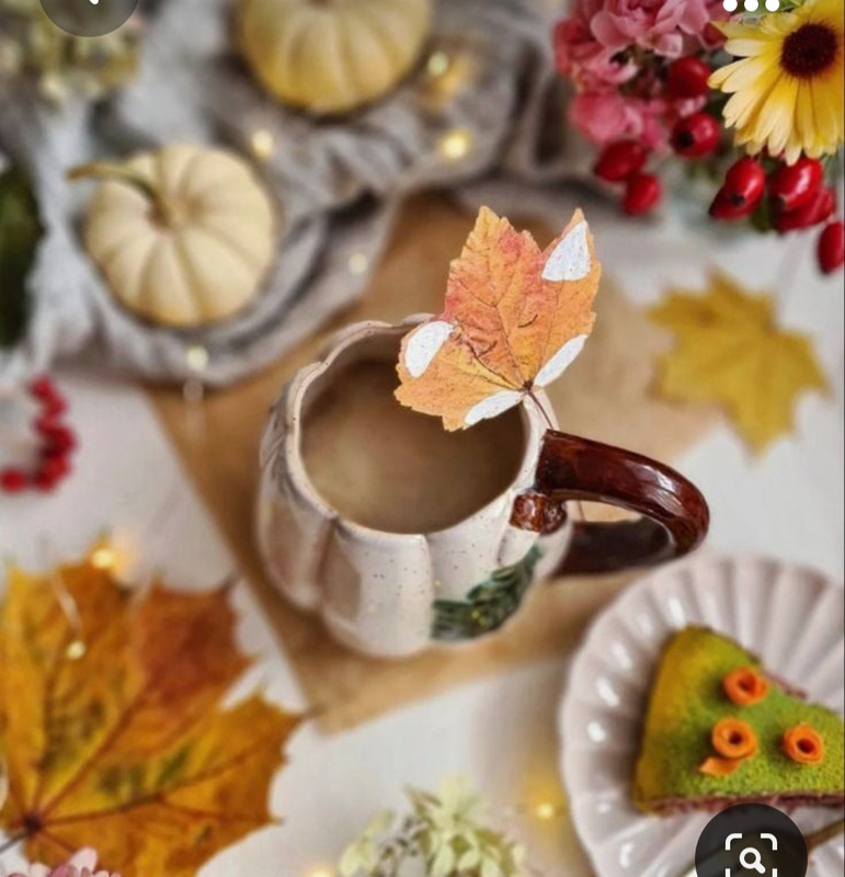 Screenshot_20230923_000708_Pinterest