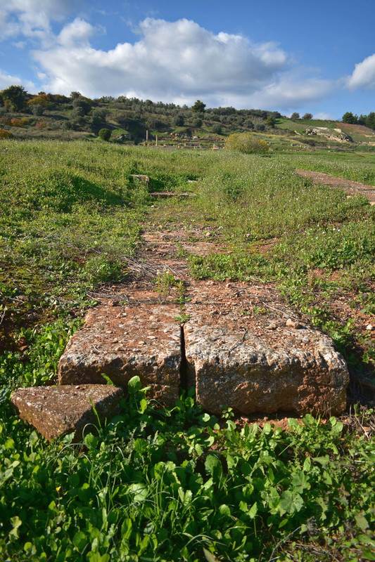 Αρχαία Σικυώνα (39)