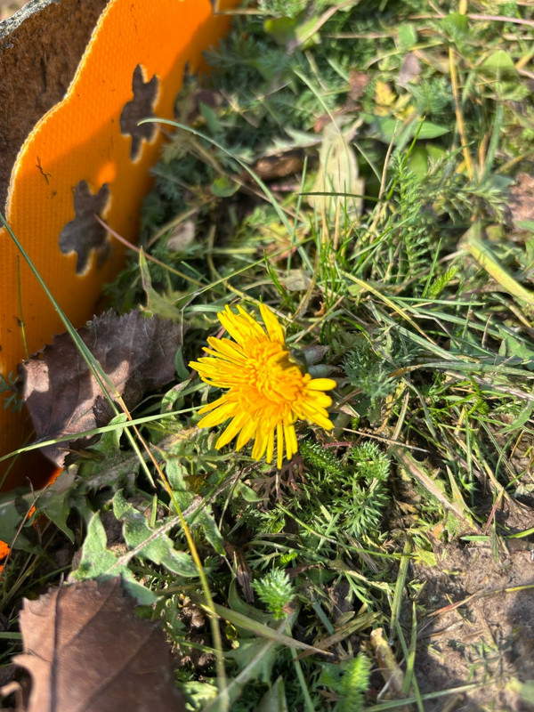 c Rhqz Pt SOQQczo05a8dz45D DCIcu8js MSKIa XVo926zdl KCD9Em5hrmyl Xj WPDfo Pj BQk7b4BVEa4L5ka01xti E