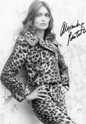 alexandra-bastedo-a41