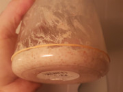 Levain 2 - At refeed