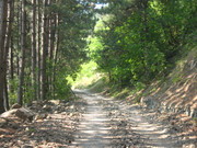 ADP System Pancharevo 2009 (22)