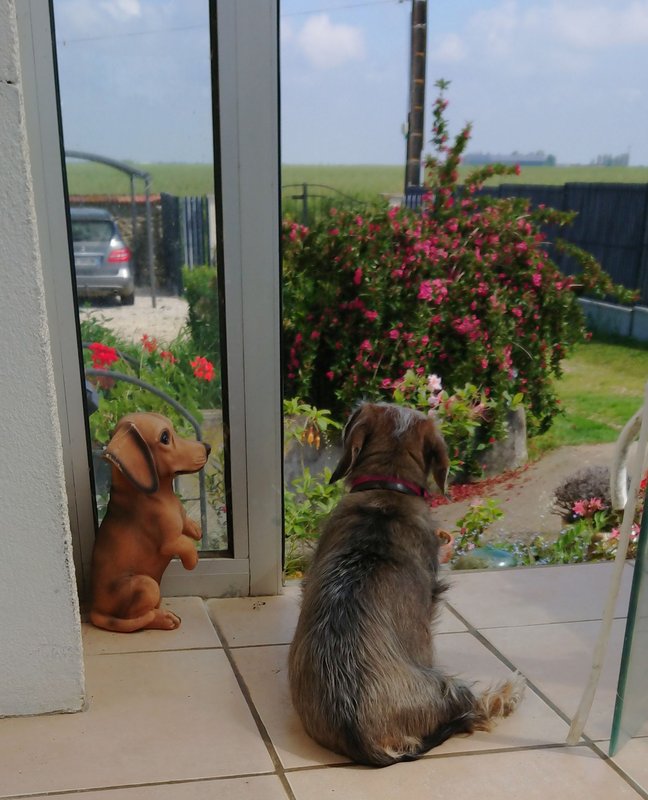 [Image: DSC-2024-05-25.jpg]