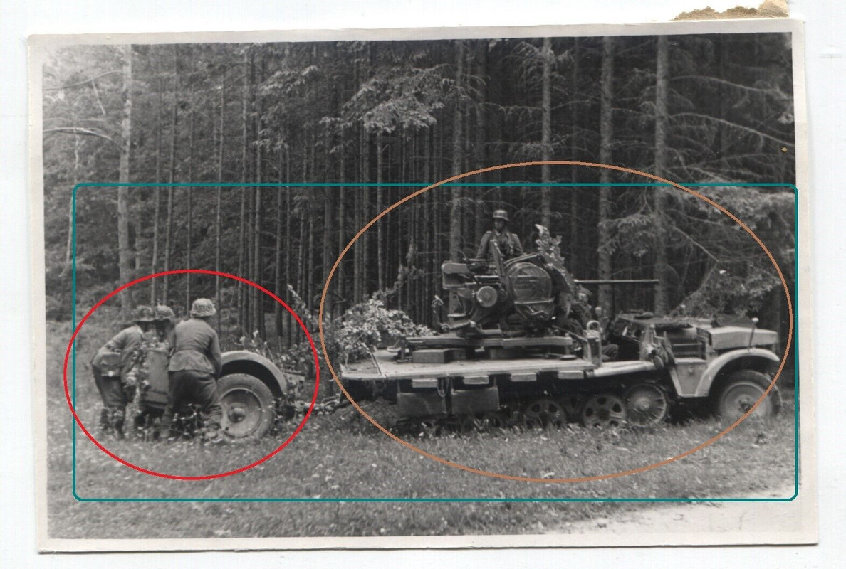 FOTO Panzer Halbkette Flakgeschütz in Wald Stellung2