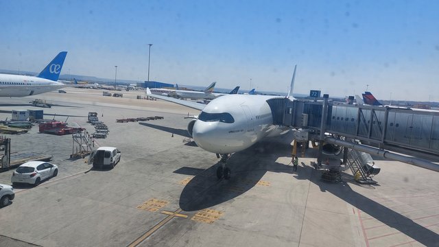 DIA 9 – VUELO DE VUELTA Y MADRID-JEREZ EN COCHE - Hotel Iberostar Selection Ensenachos (5)