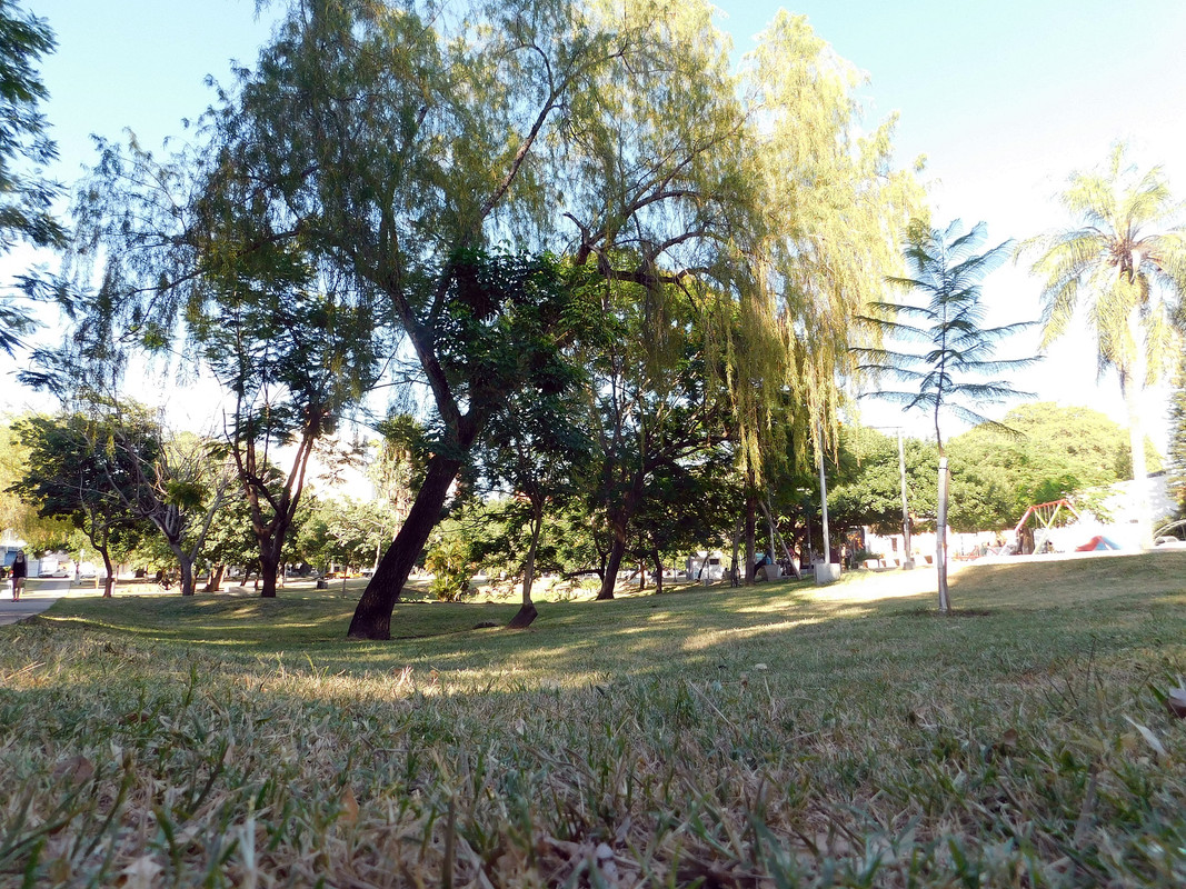 DSCN0334.jpg