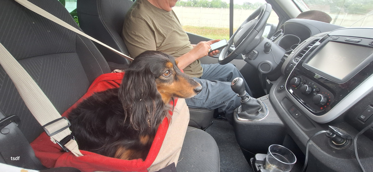 [Image: 20250511-152532.jpg]