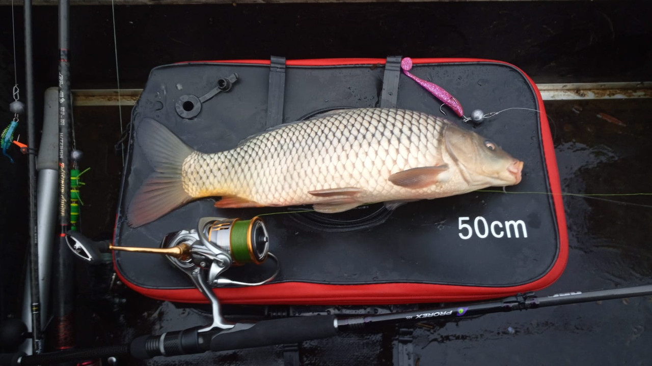 6 Геримантас Лилейка Каунасское отзыв джиг спиннинг рыбалка  бле