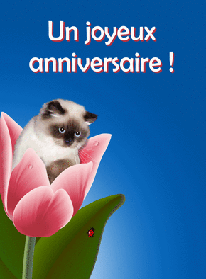 Forum Happy Birthday Page 18