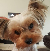 Roxy-Martheze