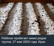 https://i.postimg.cc/K4YFrL2R/photo-2026-09-01-00-16-43.jpg