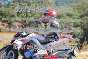 IMG-2960