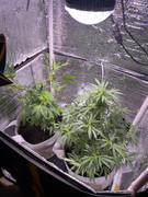 BFF67C5C-9604-4290-B4A8-AA40DBC6B858