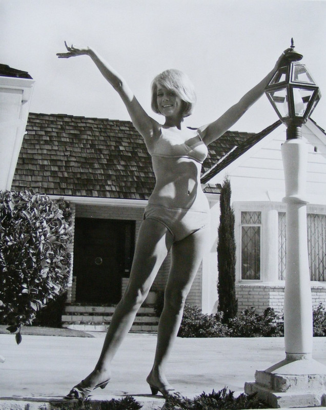 Inger Stevens_ma40