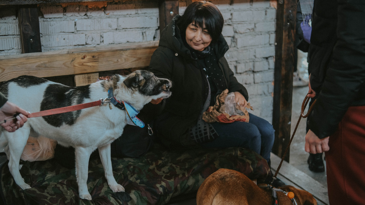 515AAAE5-5AB3-447F-8D4A-D574AAFA87A9