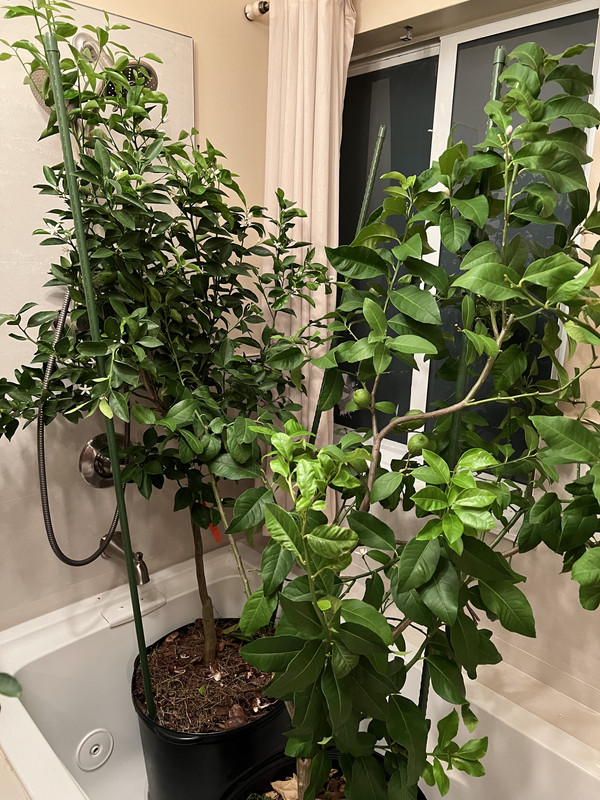 56316819-955B-4FE1-B10C-BD1AF99E460A