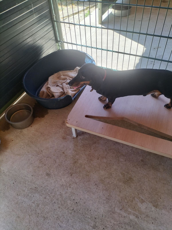 [Image: IMG-20240810-162741.jpg]