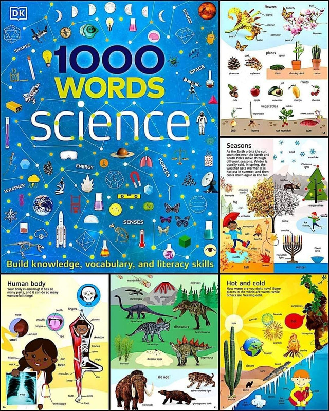 Download 1000 Words science  PDF or Ebook ePub For Free with Find Popular Books 
