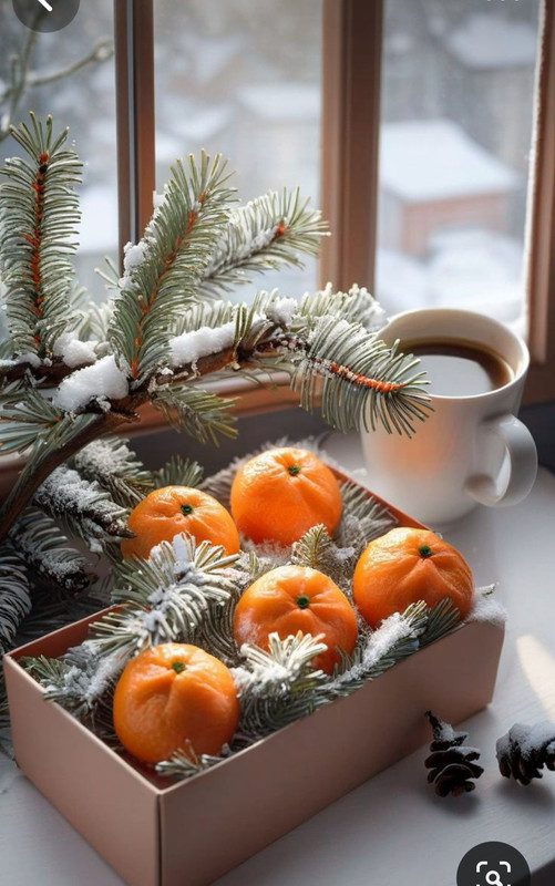 Screenshot_20231217_184936_Pinterest