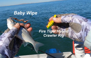 [Image: BABY-WIPE.jpg]