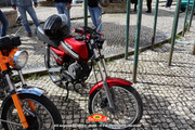 IMG-1033