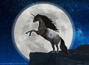 A Night Of Stars WIP 2