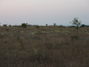 Bulgariatek Varvara 2008 236