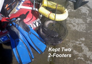 [Image: 2-FOOTERS.jpg]