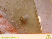DSCN3609