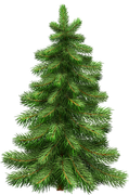BC-Xmas-In-The-Wood-Elem-75