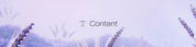 seasons-content-brand-banner-lavender-field-hero