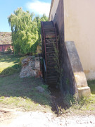 IMG-20241031-144155